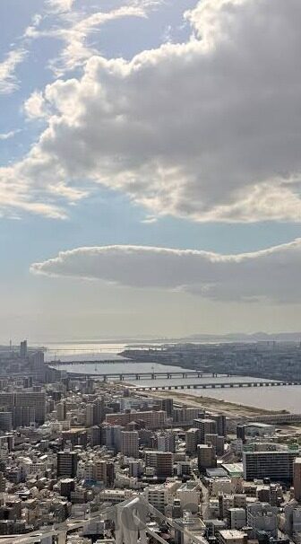 九游棋牌游戏下载安装-九游棋牌游戏，便捷的娱乐新选择