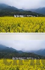 世界杯彩票平台-世界杯彩票平台的兴起与影响
